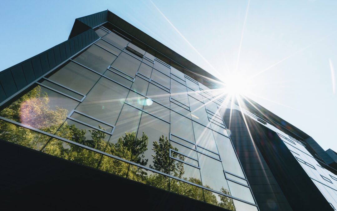 A sustainable blueprint for businesses in 2025 and beyond